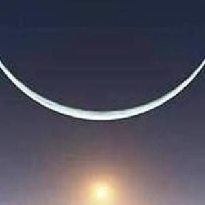 Meet your Posher, Pat